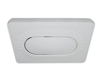 ݻϵ-LEDƽ   81W  ׹